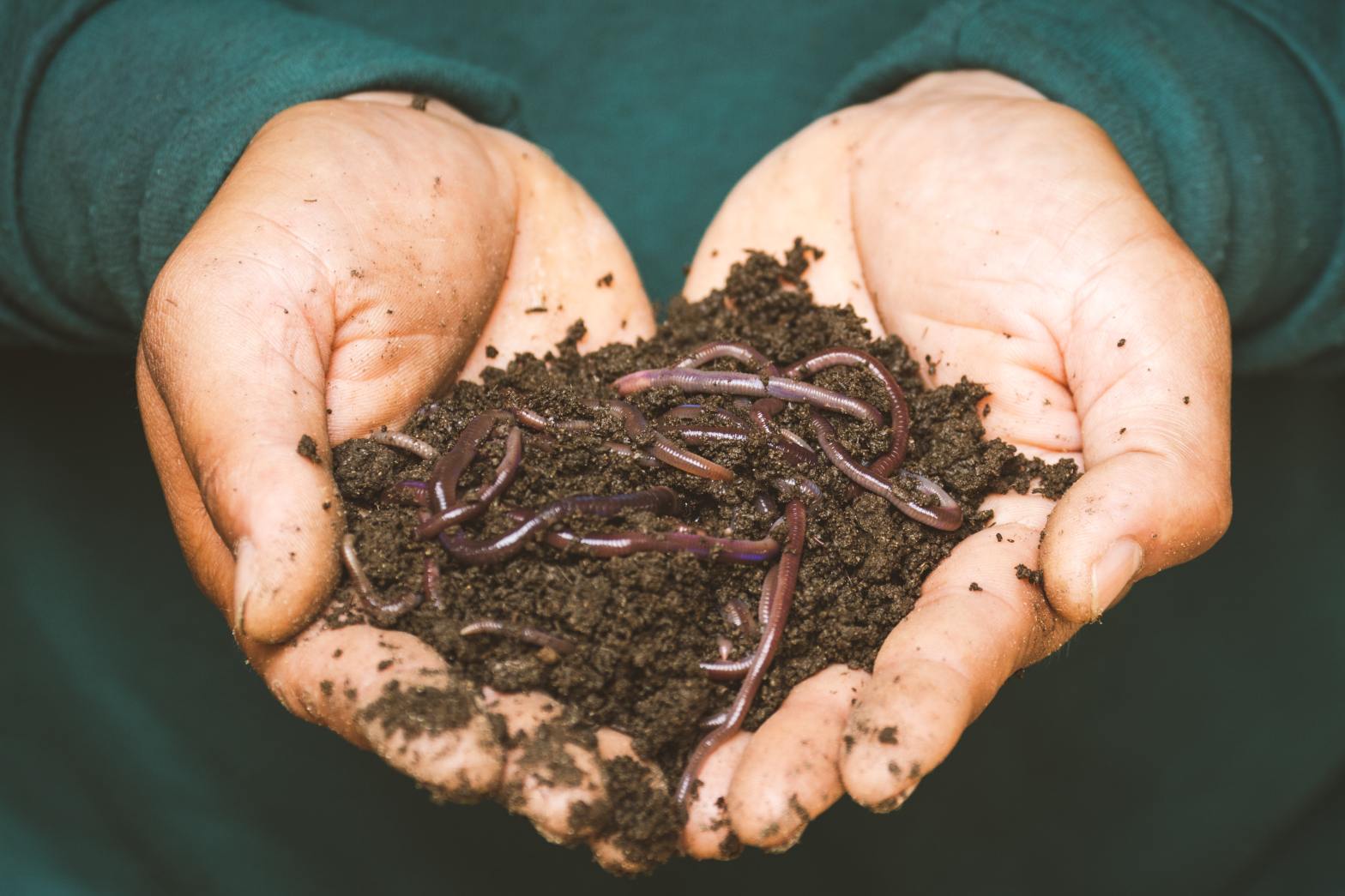 6 Easy Steps to Hot Composting and Why You Should Do&nbsp;It