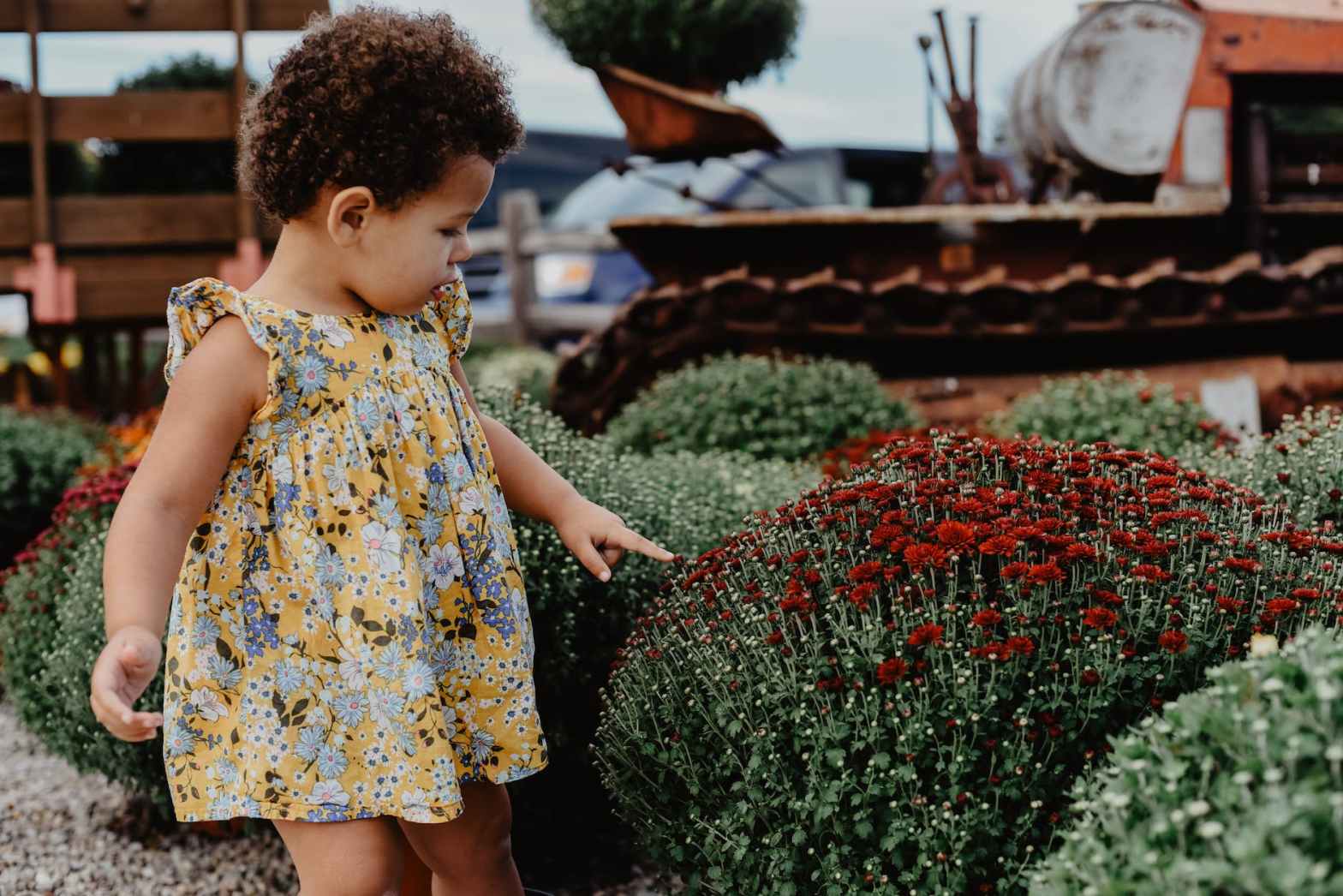 5 Reasons Why Toddlers Belong in a&nbsp;Garden